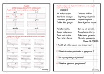 SATIR SONUNA SIĞMAYAN SÖZCÜKLER - OKUMA ANLAMA ETKİNLİĞİ 2