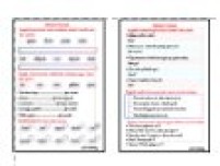TÜRKÇE TEKRAR ETKİNLİĞİ 2