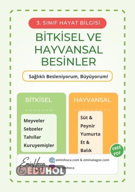 3.SINIF HAYAT BİLGİSİ SAĞLIKLI BESLENME VE BESİNLERİMİZ KONU ANLATIMI VE ÇALIŞMA KAĞIDI PDF İNDİR