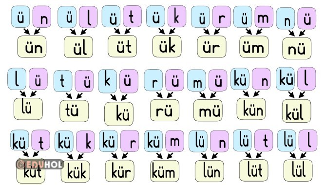 Ü-ü sesi hece ve kelimeler