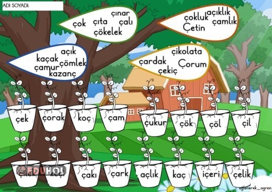 Ç SESİ OKUMA ŞANLONU.