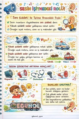 Sesin İşitmedeki Rolü Eğlenceli Çalışma Kağıdı