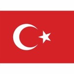 Bayrak şiiri yazma şablonları