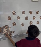 İ Sesi İzci Etkinliği