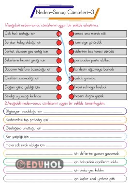 Neden Sonuç Cümleleri - 3