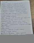 Tyt 'de Çıkabilecek Terimler ve Akımlar