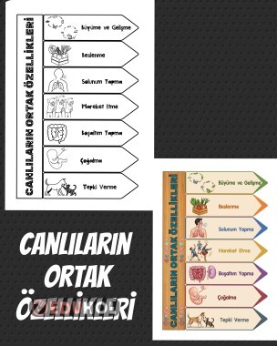 CANLILARIN ORTAK ÖZELLİKLERİ