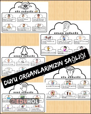 DUYU ORGANLARIMIZIN SAĞLIĞI DEFTER ÇALIŞMASI