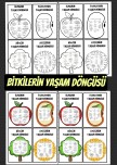 BİTKİLERİN YAŞAM DÖNGÜSÜ
