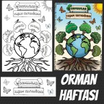 ORMAN HAFTASI ÇALIŞMASI
