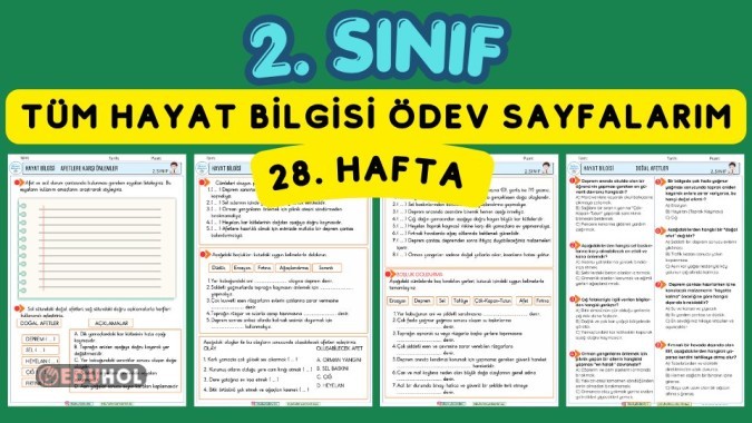 2. SINIF 28. HAFTA HAYAT BİLGİSİ TÜM ÖDEV SAYFALARIM
