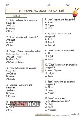 2. Sınıf Türkçe Zıt anlamlı kelimeler 1-testi 12 soruluk