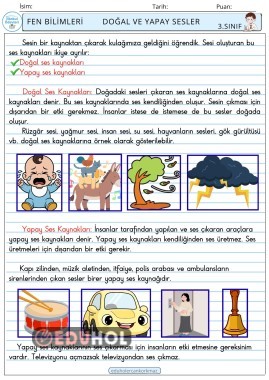 3. SINIF 21. HAFTA FEN BİLİMLERİ DEFTER NOTU