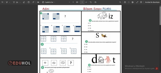 bilsem ön değerlendirme soruları