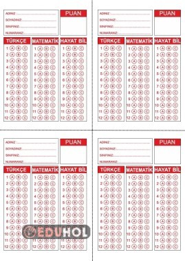 Deneme sınavı cevap anahtarı formu Türkçe matematik hayat bilgisi için