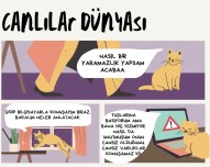 Canlılar Dünyası Karikatür