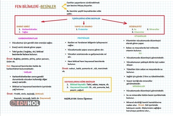 4. SINIF FEN BİLİMLERİ BESİNLER TÜM ÜNİTE KONU ÖZET (pdf)