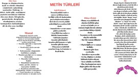 MetinTürleri