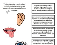 Duyu organları kes-yapıştır