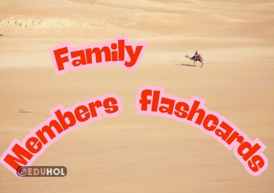 Family flashcards for family life