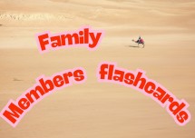 Family flashcards for family life