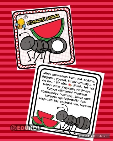 HİKAYELİ SAYILAR KARINCA MATI