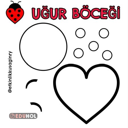 SEKİLLERDEN UĞUR BÖCEĞİ