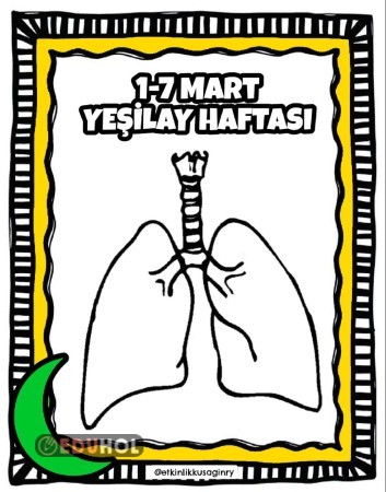 YEŞİLAY HAFTASI CİĞERLERİMİZ ETKİNLİK SAYFASI