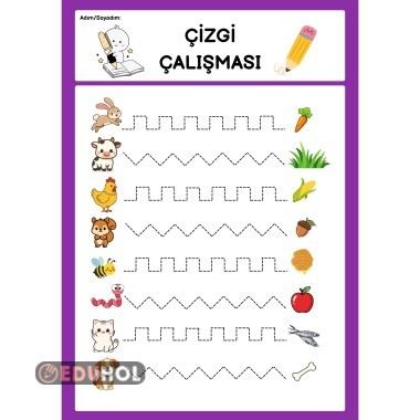 Çizgi Çalışmaları