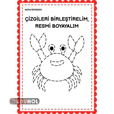 Çizgileri Birleştirelim, Resimleri Boyayalım