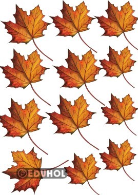 Renkli sonbahar yaprakları