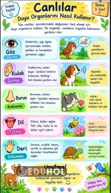 Canlılar Duyu Organları