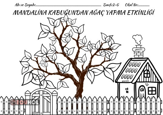 MANDALİNA KABUĞUNDAN AĞAÇ YAPMA ETKİNLİĞİ