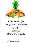 Okuduğunu anlama 10 metin 10 sayfa