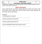 Okuduğunu anlama 5 adet