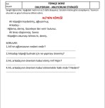 Okuduğunu anlama 5 adet