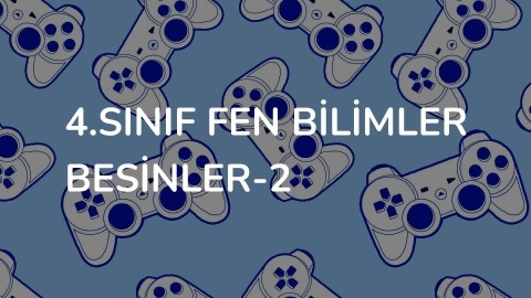 4.Sınıf Fen bilimler besinler-2