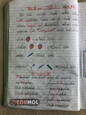 TEKİL VE ÇOĞUL İSİMLER