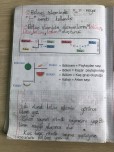Bölme işlemi