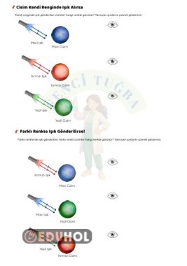 Işığın Yansıması ve Renkler Etinliği