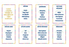 Hücre ve Organeller Tabu Oyunu