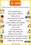 “Ş” SESİ CÜMLE OKU-EŞLEŞTİR