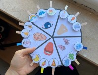 Duyu organları etkinlik materyali