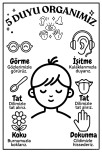 5 Duyu Organımız Eğitici Boyama