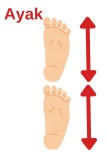 Ayak