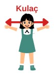 Kulaç