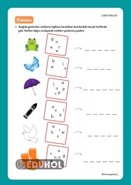 İngilizce Renkler Etkinlik