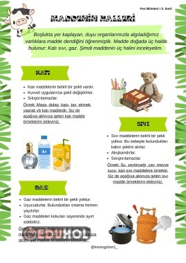 Maddenin Halleri defter notu fen bilimleri