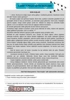 Türkçe Metin İnceleme 