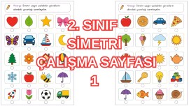 Simetri Çalışma Sayfası 2